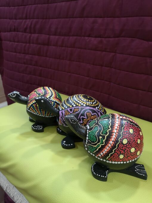 Tortuga mueve cabeza - Imagen 2