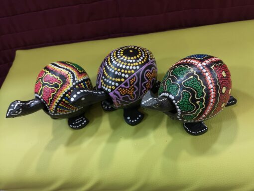Tortuga mueve cabeza - Imagen 3