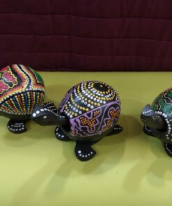 Tortuga mueve cabeza
