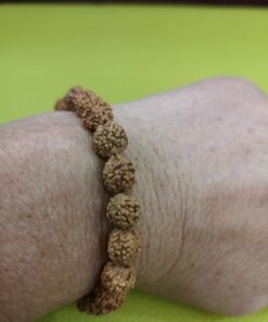 Pulsera rudra protección