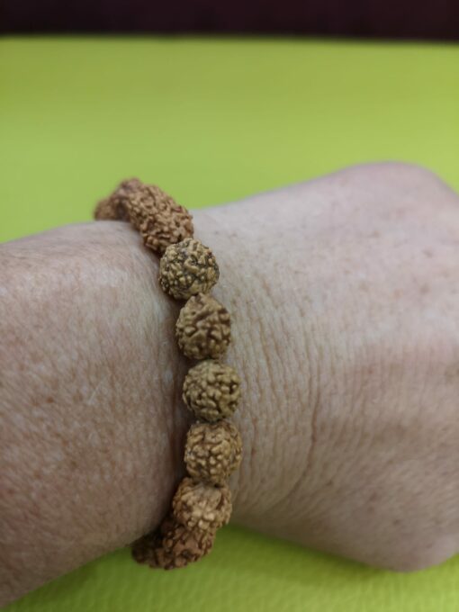 Pulsera rudra protección