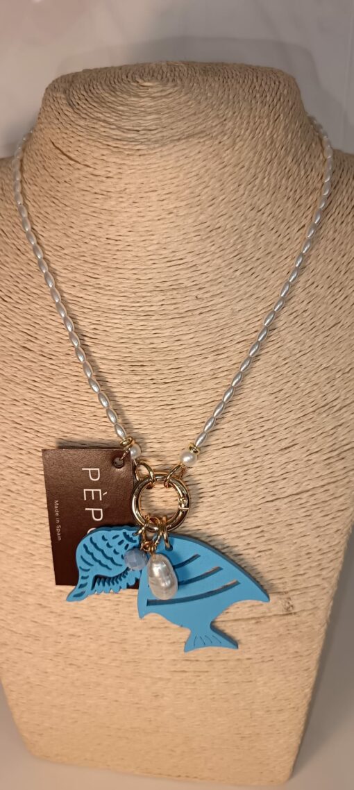 Collar corto, Galápagos Celeste